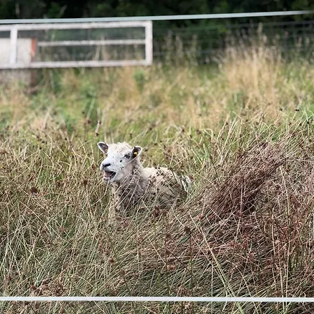 Laerkelill Bed & Breakfast Skovlund