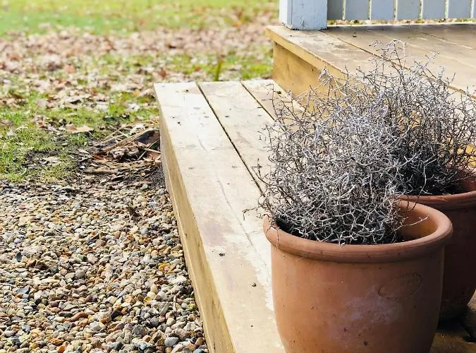 Nocleg ze śniadaniem Laerkelill Skovlund